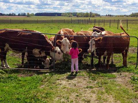 Holmestead Farm